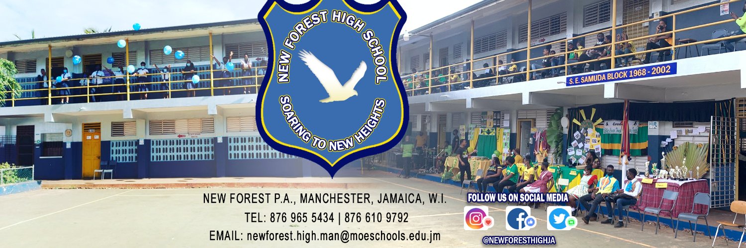 newforesthighja's profile banner image