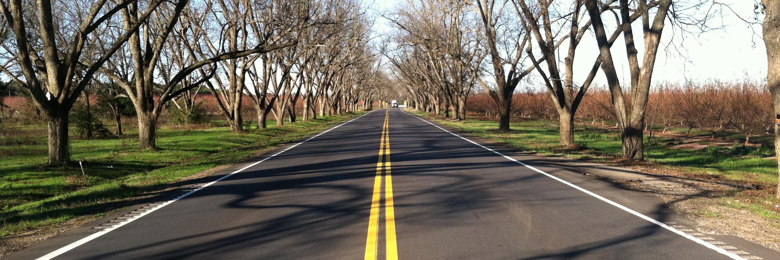 Asphalt:  SC Rides On Us banner