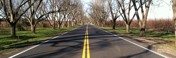 SCAPAtweets Profile Banner