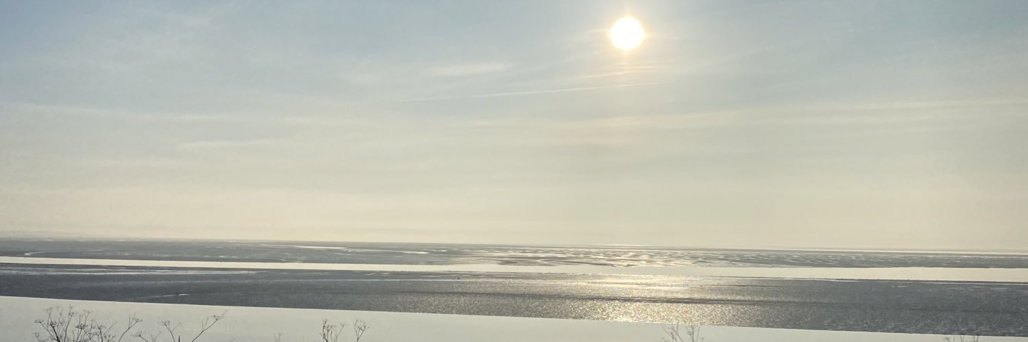 LaurElizabeth2's profile banner image
