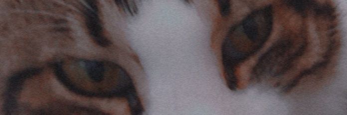 Ersin banner