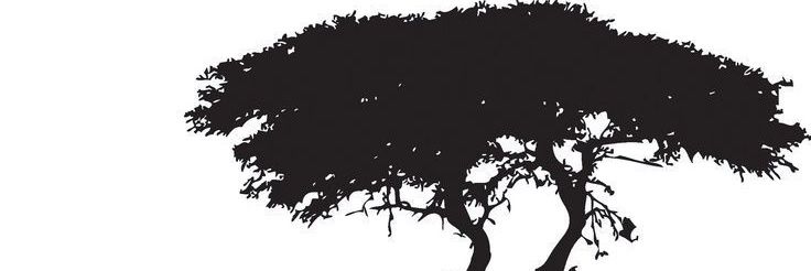 Mufusta's profile banner image