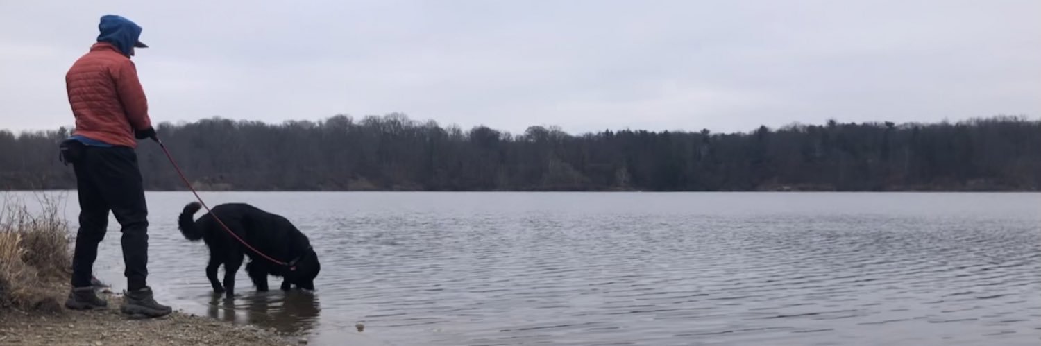 MicahTheBruce's profile banner image