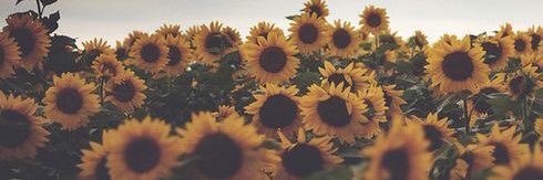 beejxoxo's profile banner image