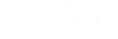 Exausta da Silva banner