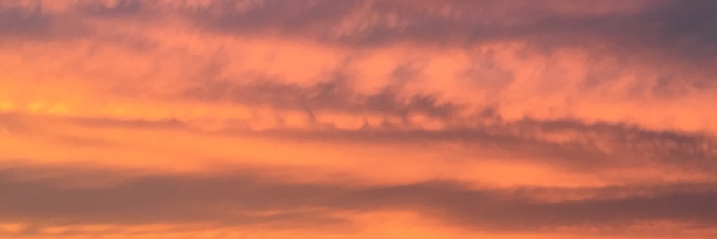 Shiner_833's profile banner image