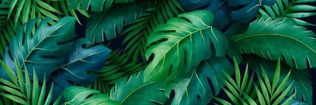 manuel_arenas's profile banner image