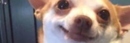 ________mlm's profile banner image