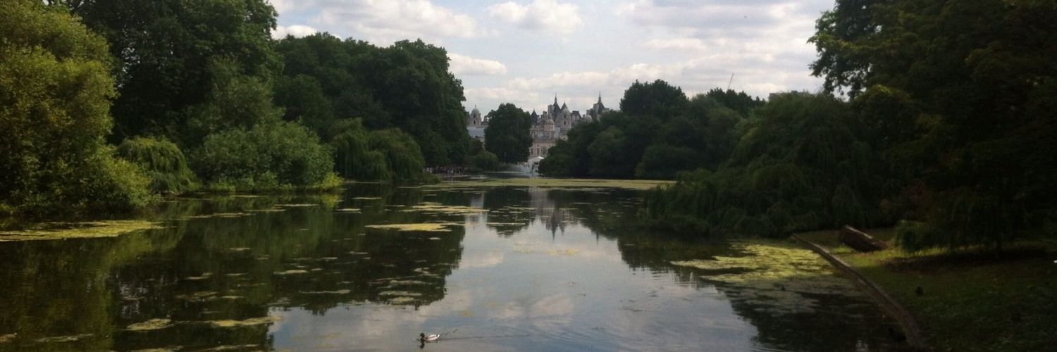 Syvila Chaplin 💙 banner