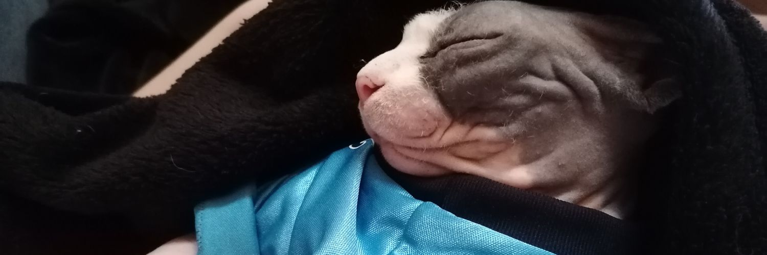 judithsdez's profile banner image