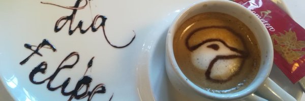 FelipeGlezSEO Profile Banner
