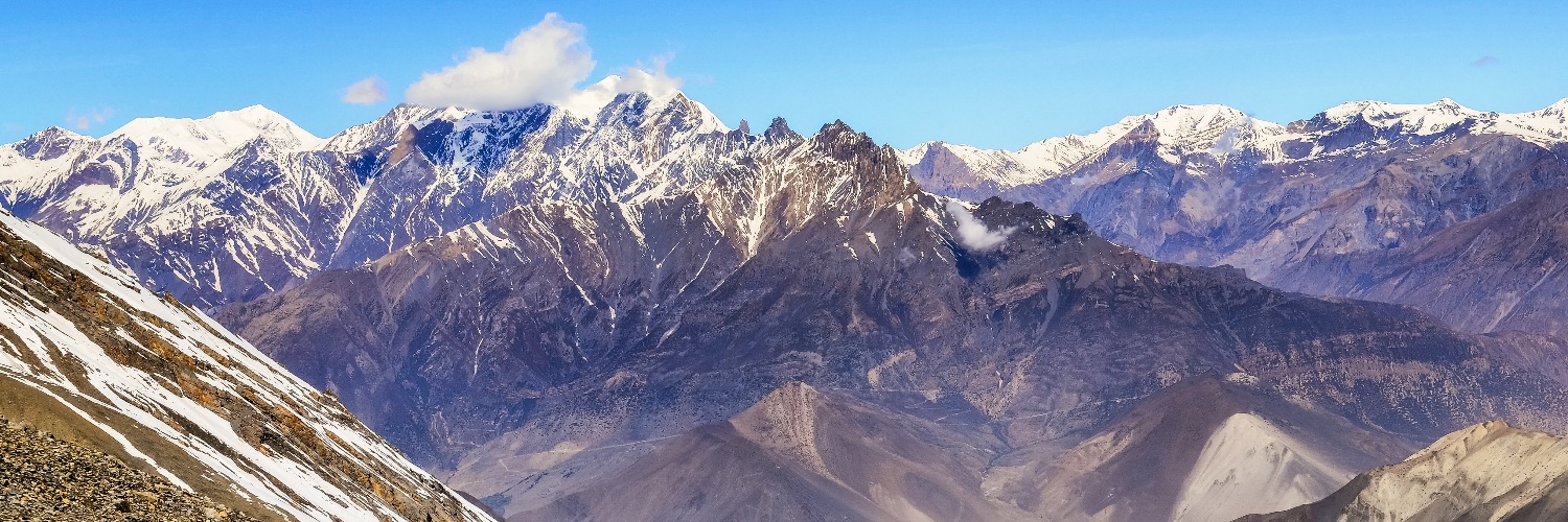 Postal Taxis 🚕🚚🚚✈️🚀 banner