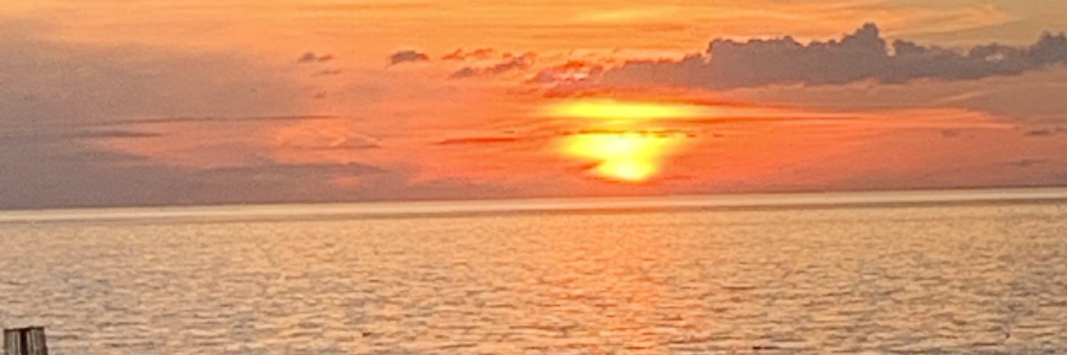 ChloeC2594's profile banner image