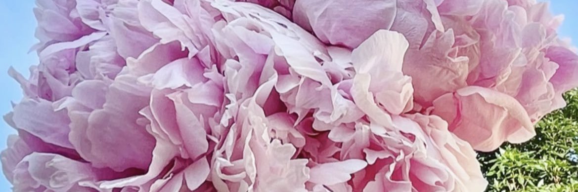 estefanialdv's profile banner image