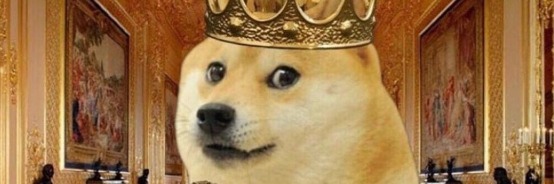 bighectowski's profile banner image