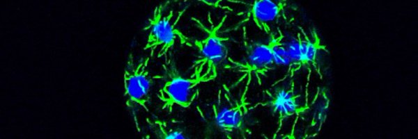 multicellgenome Profile Banner