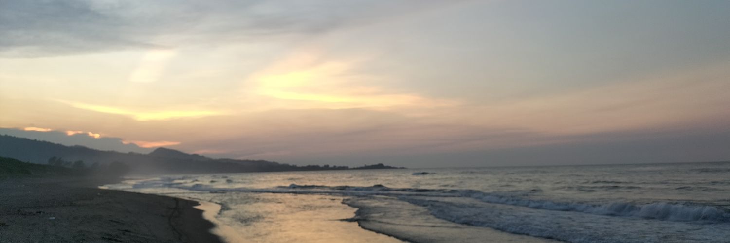 Antele Cuevas H. banner