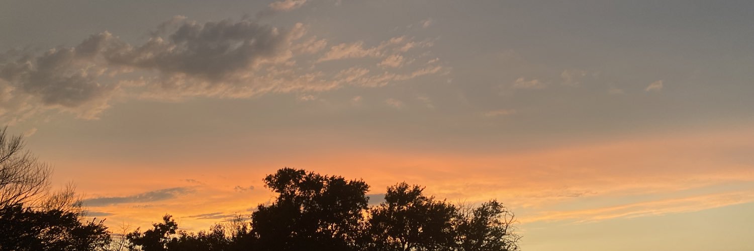 EmilyMulberry's profile banner image