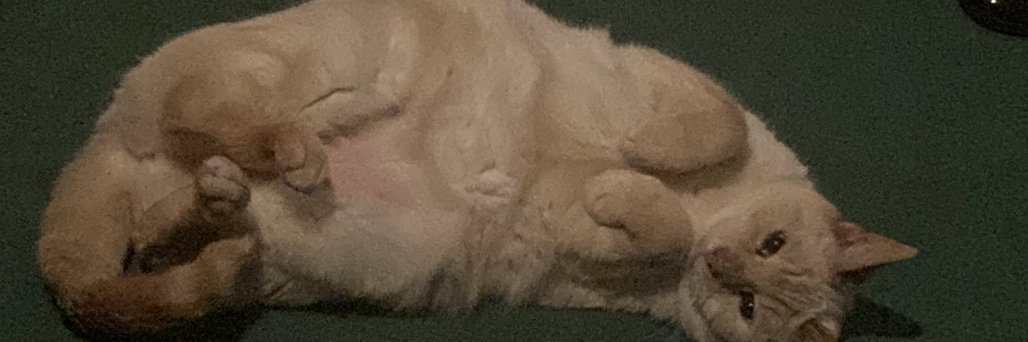 mali🏴󠁧󠁢󠁷󠁬󠁳󠁿 banner