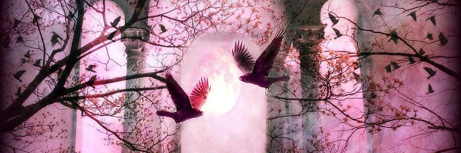 ~🌸 Träumerin 🌸~'s banner