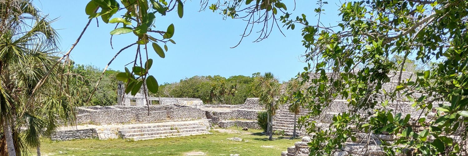 Carlos Gongora banner