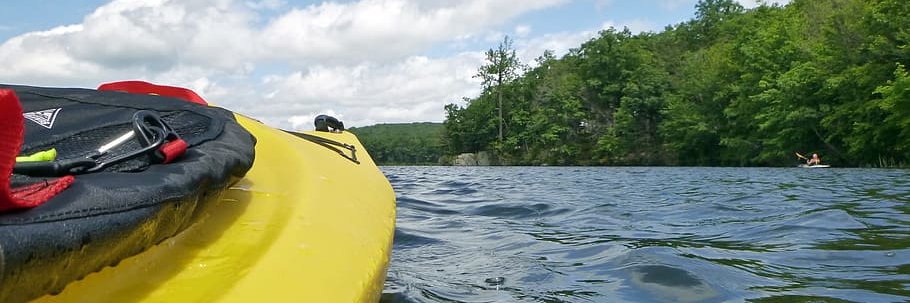 Kathrin Bergbreiter banner