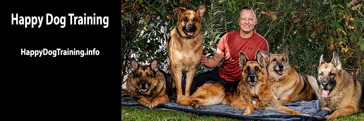 DogTrainerSoCal's profile banner image