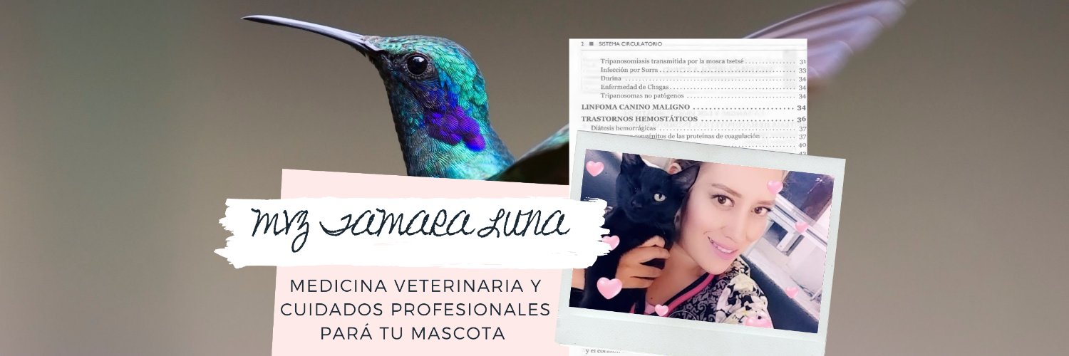 tamiiluna's profile banner image