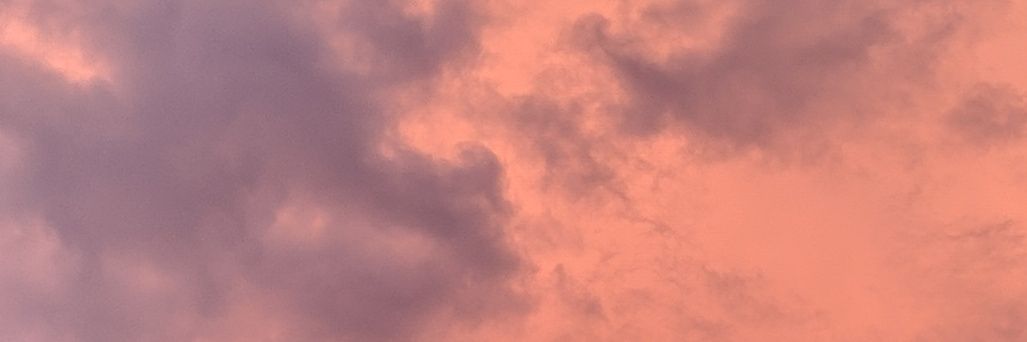 wretchedevine's profile banner image