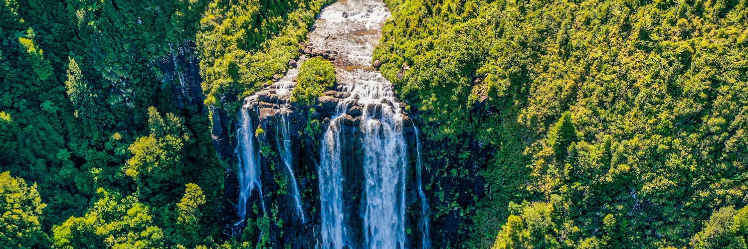 Tim van de Molen MP banner