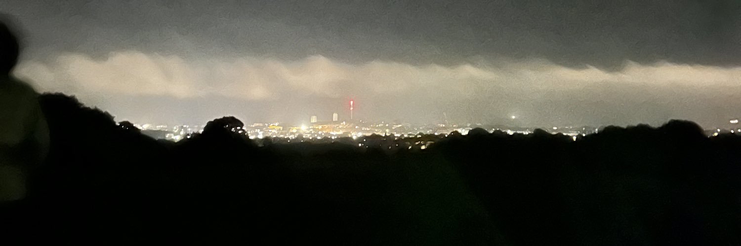 professor billy banner