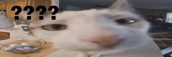 0xYassin Profile Banner