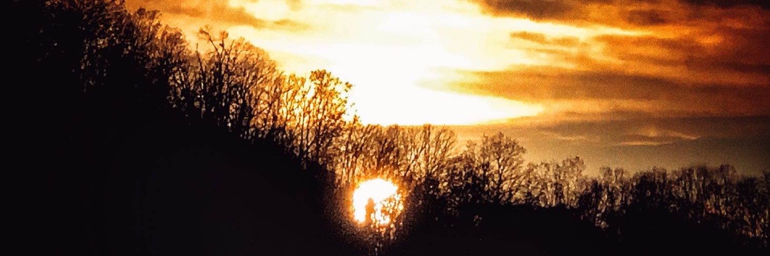 🌹Rosemarie🌺🌻🐾 banner