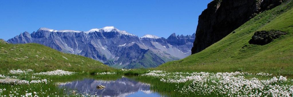 Postdigitalist banner