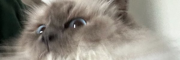 BertDalziel Profile Banner