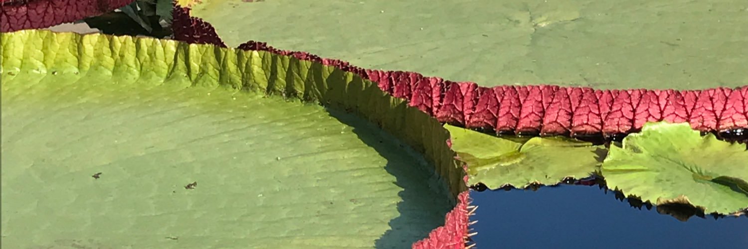 paul_son34's profile banner image