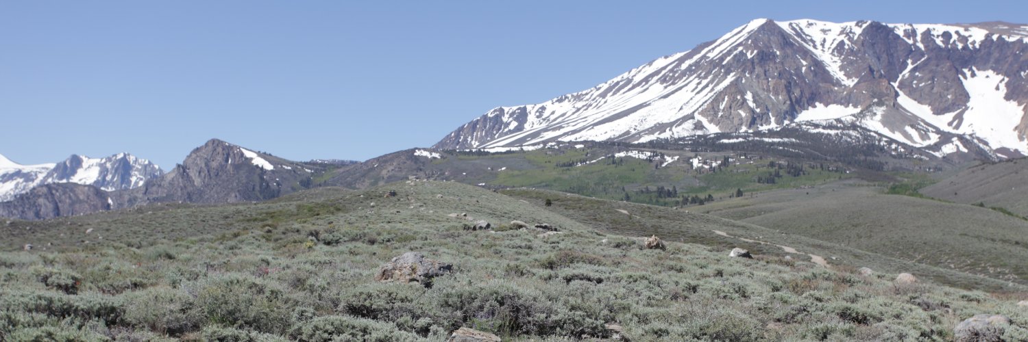 Risa Madoff, PhD banner