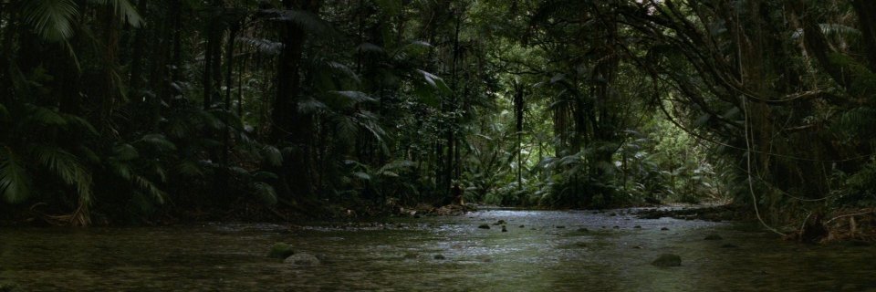 Jon Barrenechea banner