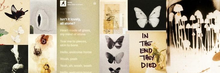 leventsonate's profile banner image