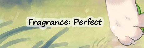 slut website 🥑 banner