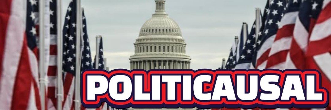 POLITICAUSAL's profile banner image