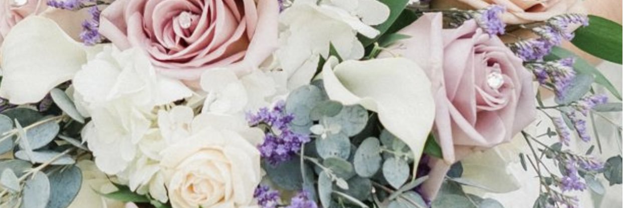 Laurie Bossory Goike banner