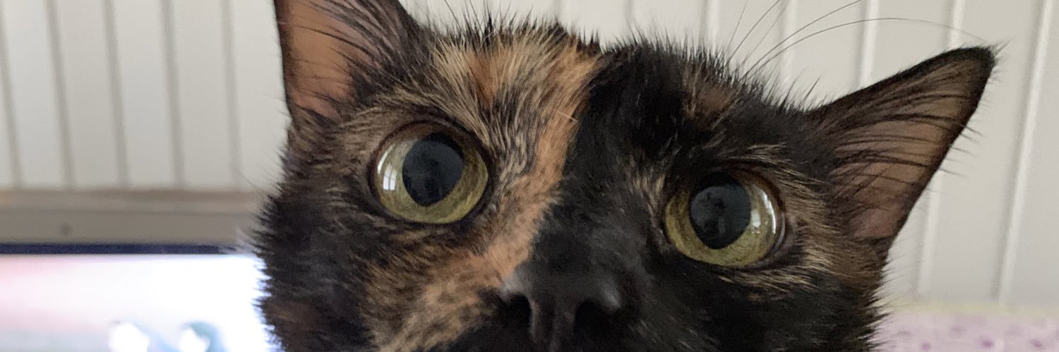 NicholeBot's profile banner image