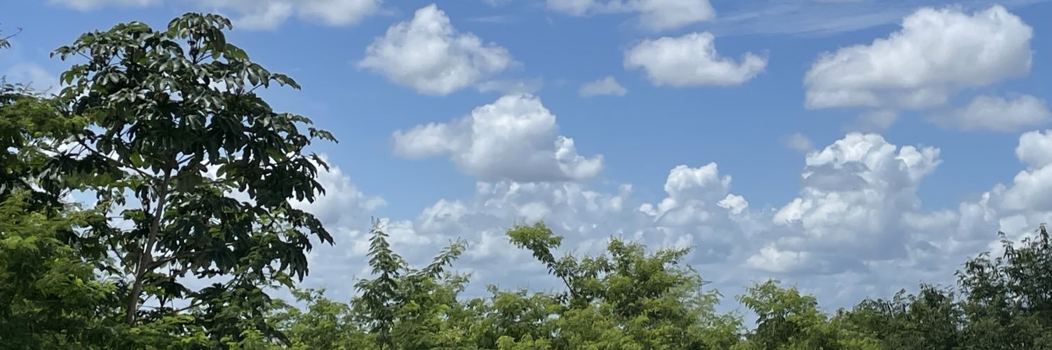 reblinderman's profile banner image