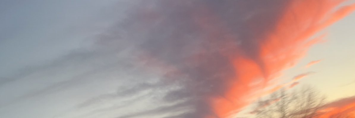 Ryan banner