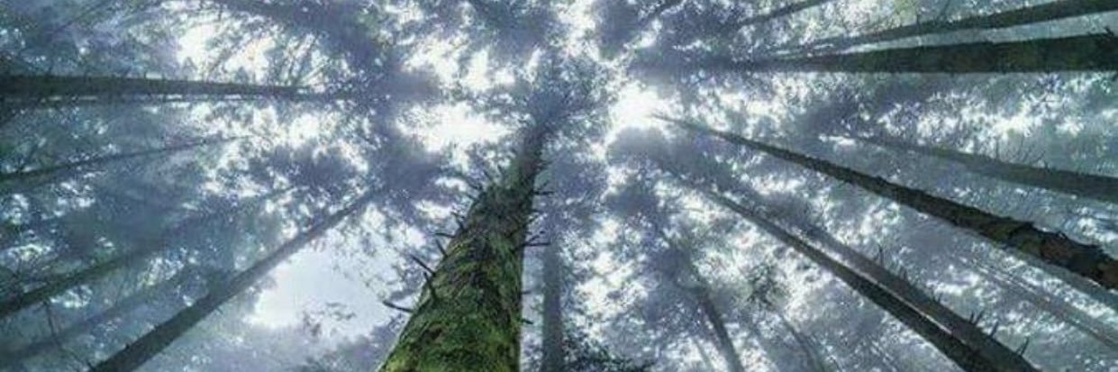 BlakeCake_1's profile banner image