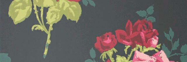 jiweunzlee's profile banner image