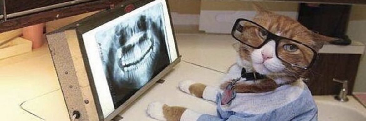 Jack L’Édenteur 🎗️// 🇫🇷🇲🇦🇮🇱 // 🦷 banner