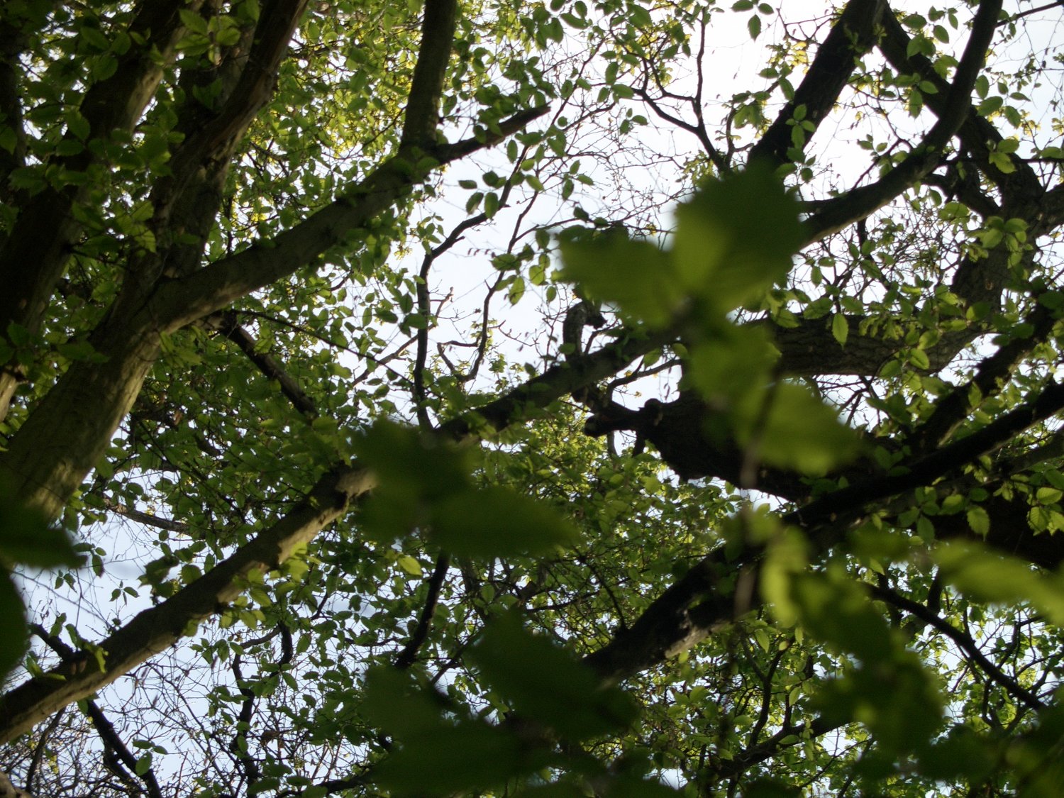 Bazerby's profile banner image