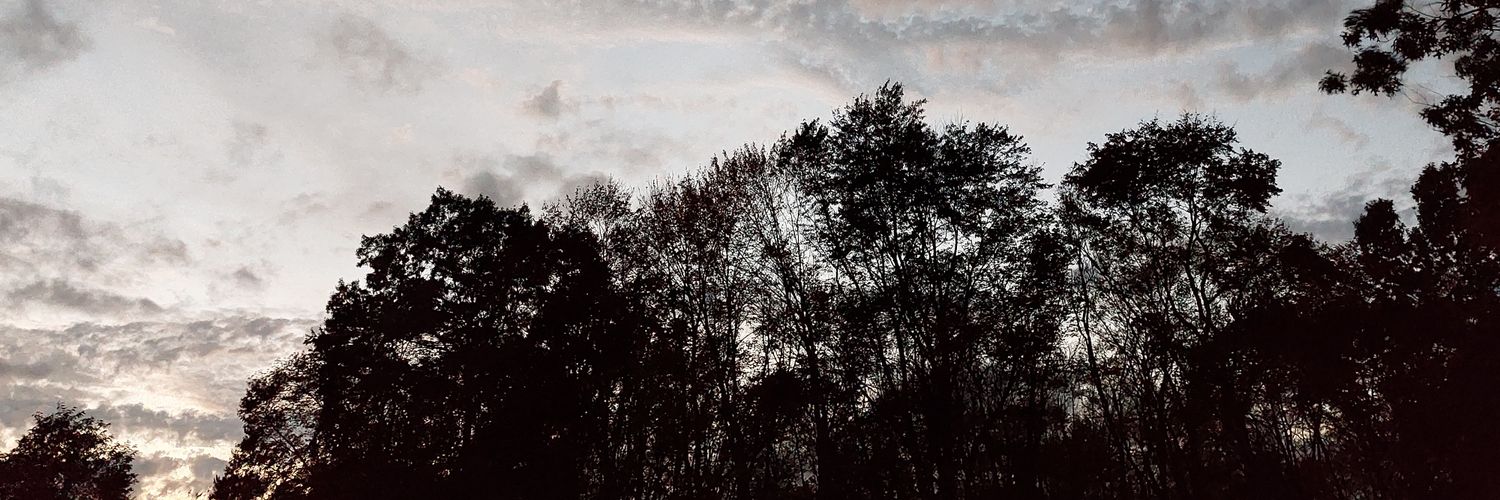 HenryBonesJones's profile banner image